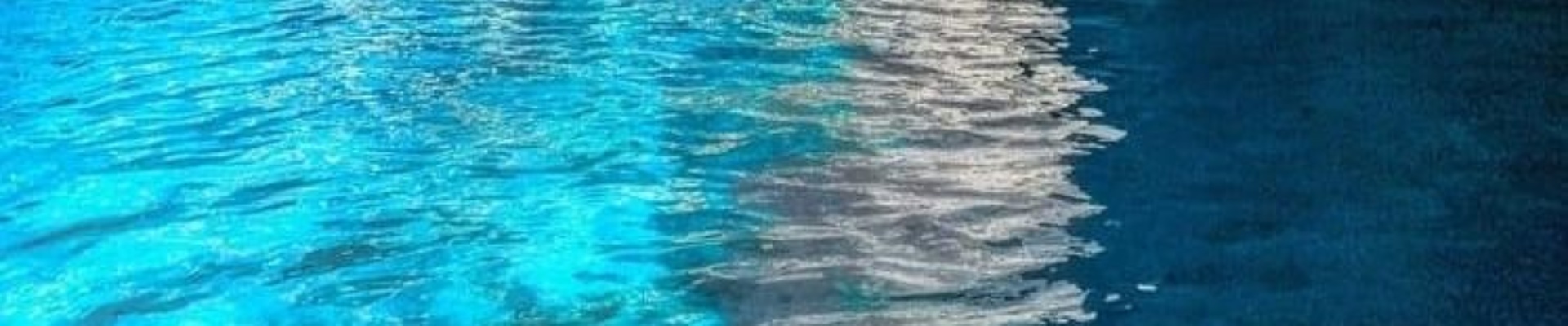 IL PREDATORE BOAT TOURS