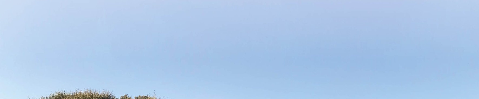 Seruci incontro le produzioni locali